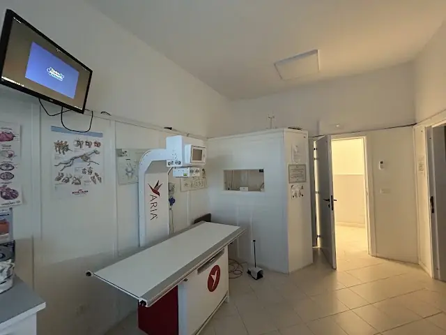 Ristorante Federico II — foto 2