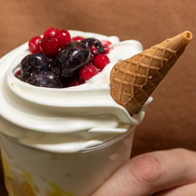 Yogo — foto 2